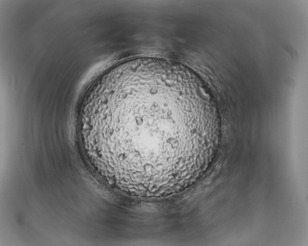 X0000111470149200907271319