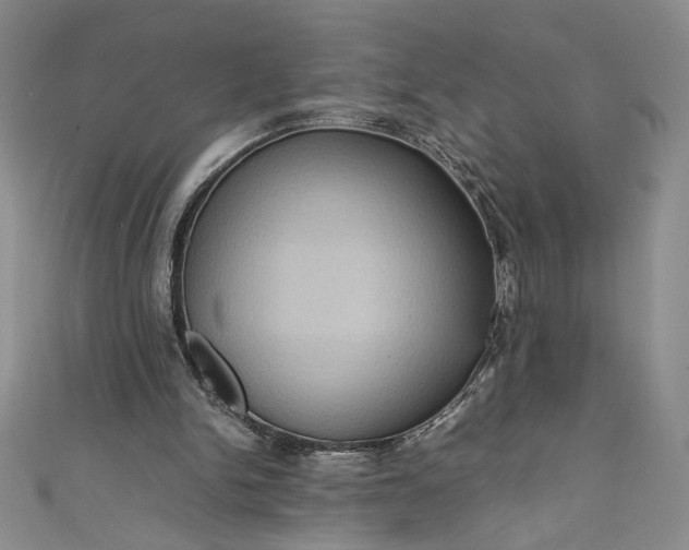 X0000111470150200907271319