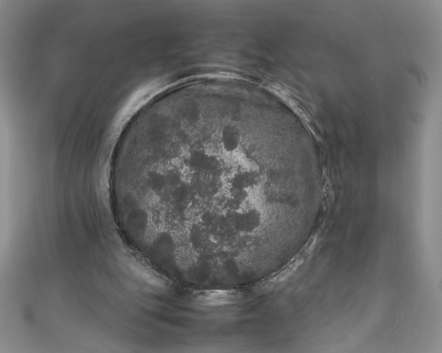 X0000111470151200907271319