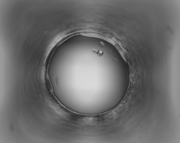 X0000111470152200907271319