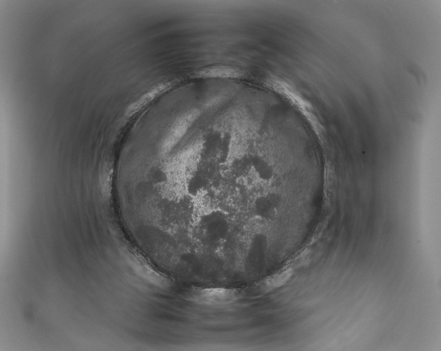 X0000111470153200907271319