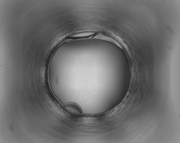 X0000111470154200907271319