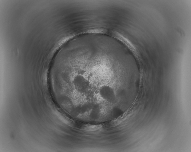 X0000111470155200907271319