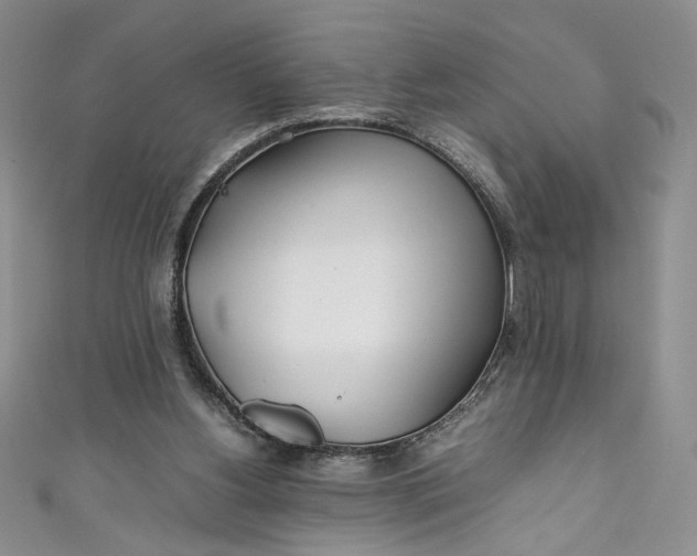 X0000111470156200907271319