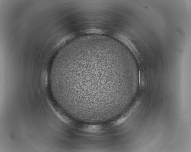 X0000111470157200907271319