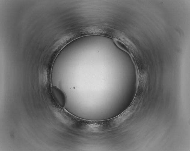 X0000111470158200907271319