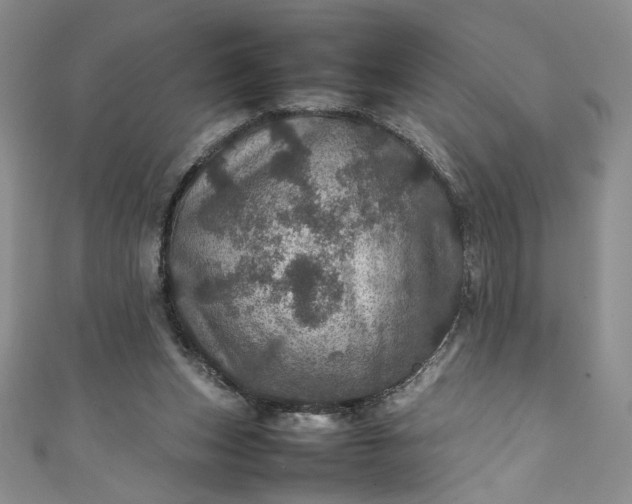 X0000111470159200907271319