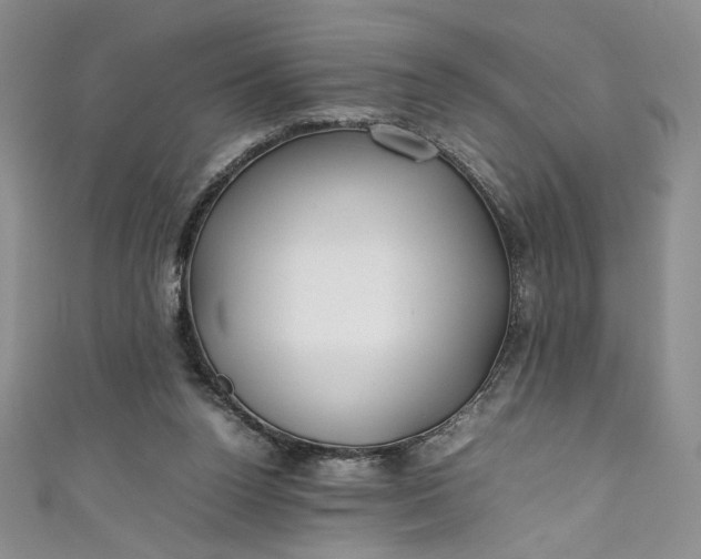 X0000111470160200907271319