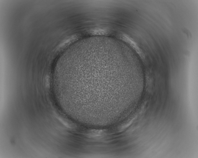 X0000111470161200907271319