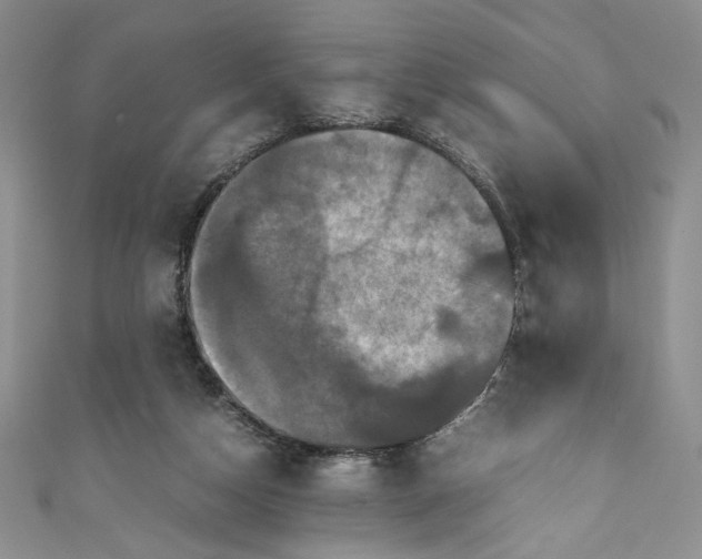 X0000111470162200907271319