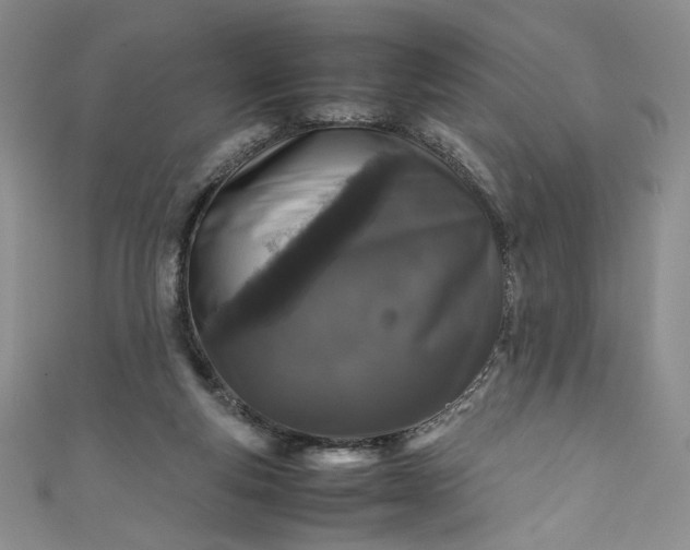 X0000111470163200907271319