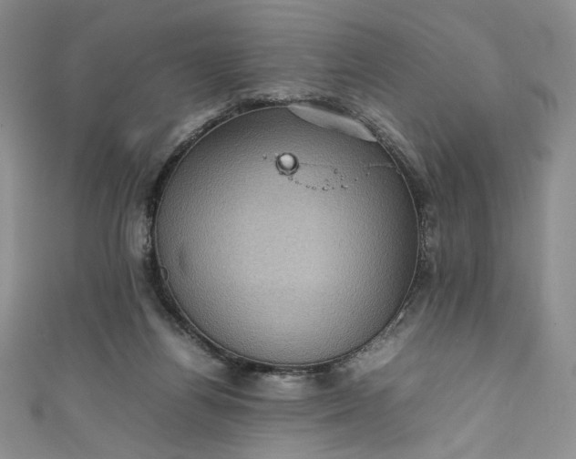 X0000111470164200907271319