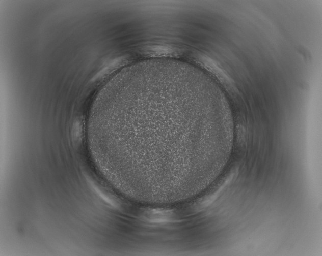 X0000111470165200907271319