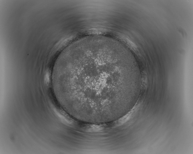 X0000111470166200907271319