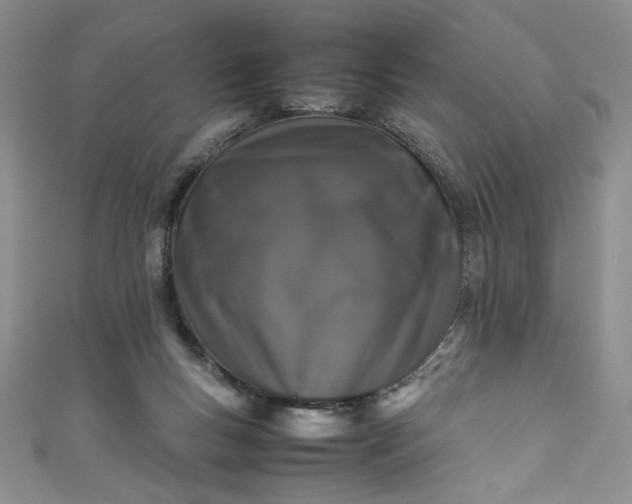 X0000111470167200907271319