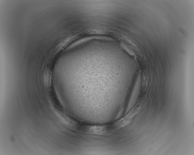 X0000111470168200907271319