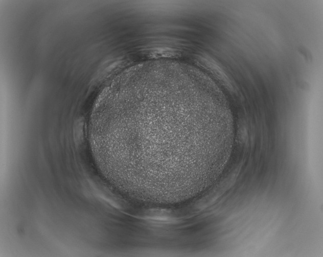 X0000111470169200907271319