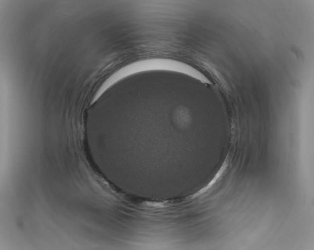 X0000111470170200907271319