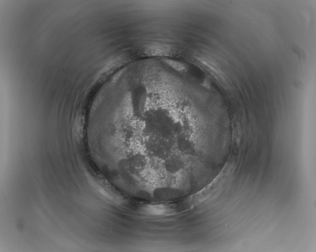 X0000111470171200907271319