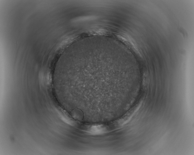 X0000111470173200907271319