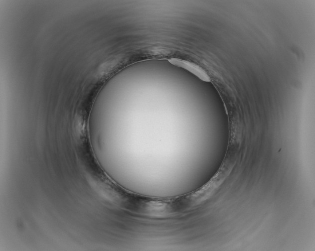 X0000111470176200907271319