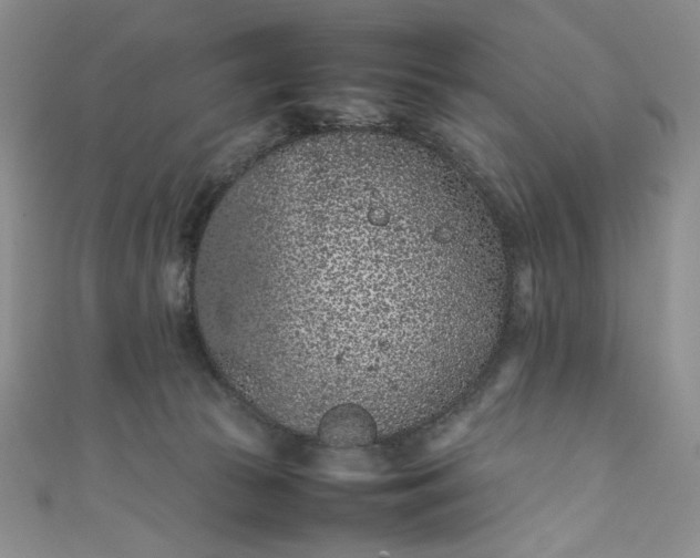 X0000111470177200907271319