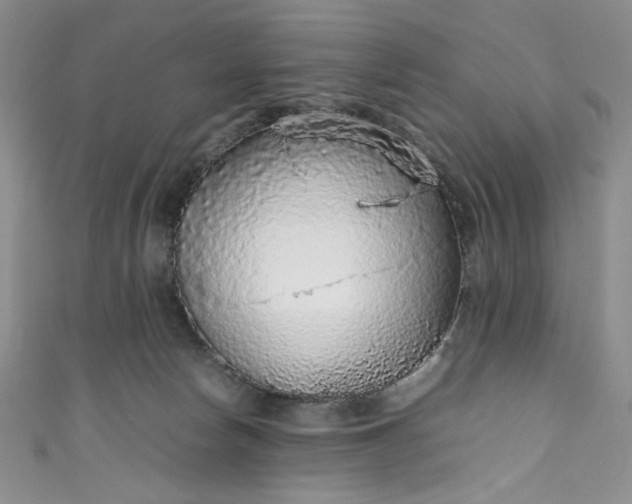 X0000111470178200907271319