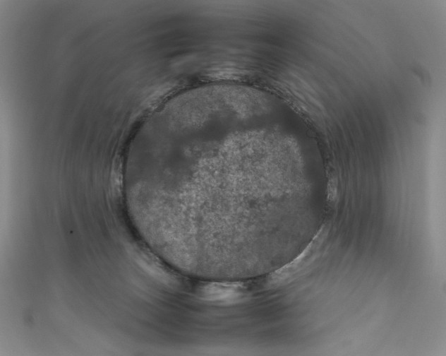 X0000111470179200907271319