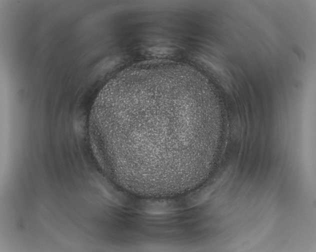 X0000111470181200907271319