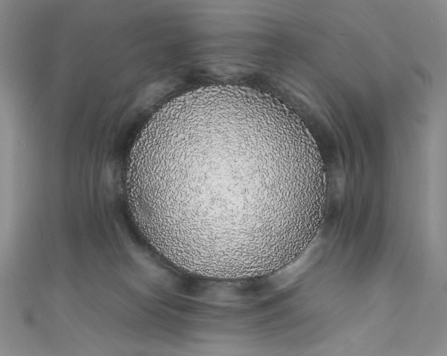 X0000111470182200907271319