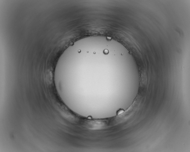 X0000111470183200907271319