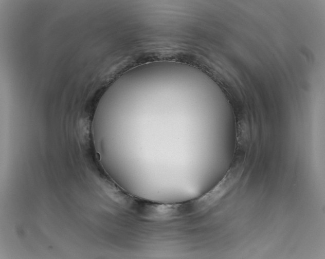 X0000111470184200907271319