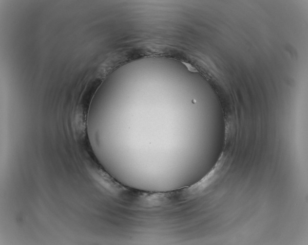 X0000111470186200907271319