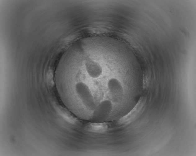 X0000111470187200907271319