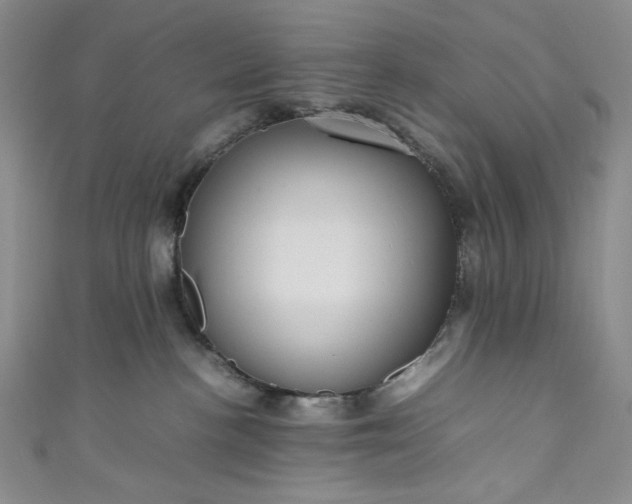 X0000111470188200907271319