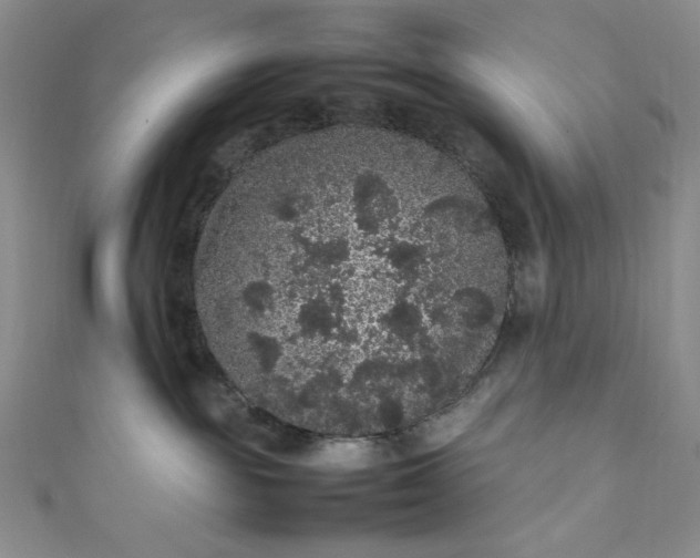 X0000111470189200907271319