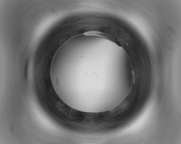 X0000111470190200907271319