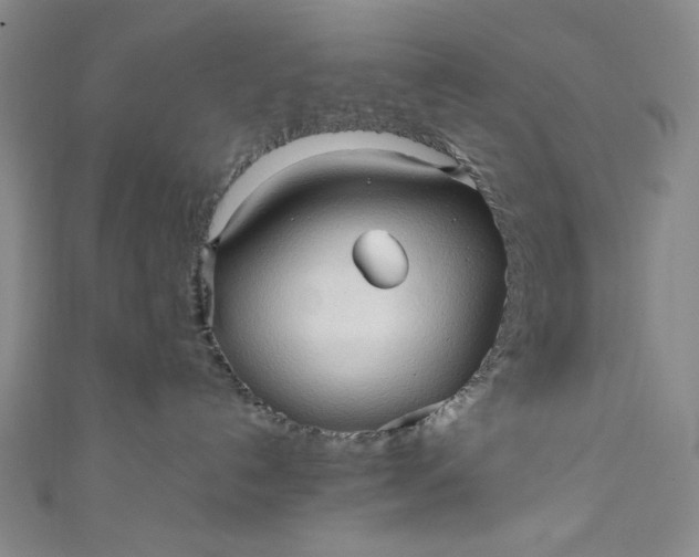 X0000111470192200907271319