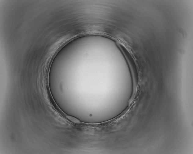 X0000111470193200907271319