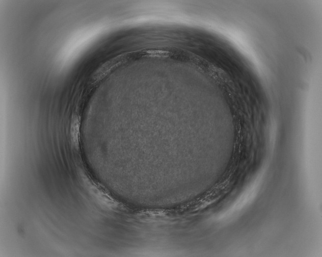 X0000111470194200907271319