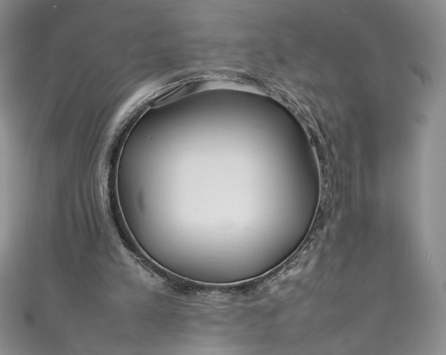 X0000111470197200907271319