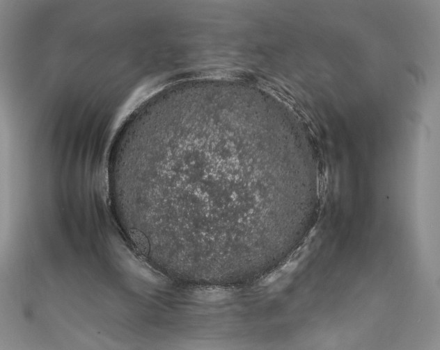 X0000111470198200907271319