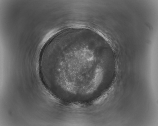 X0000111470199200907271319