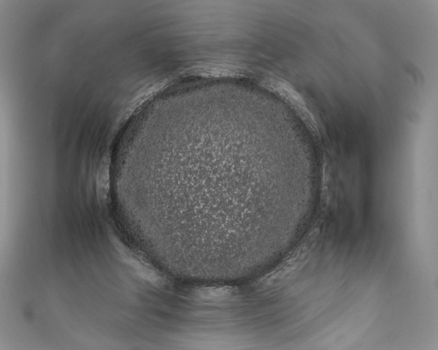 X0000111470202200907271319