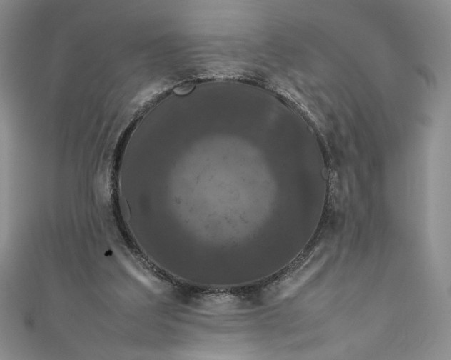 X0000111470203200907271319