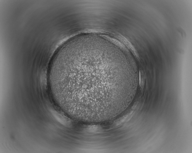 X0000111470204200907271319