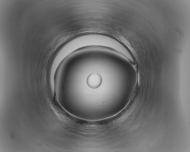 X0000111470205200907271319