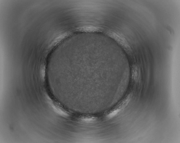 X0000111470206200907271319