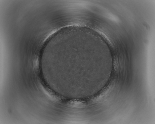 X0000111470208200907271319