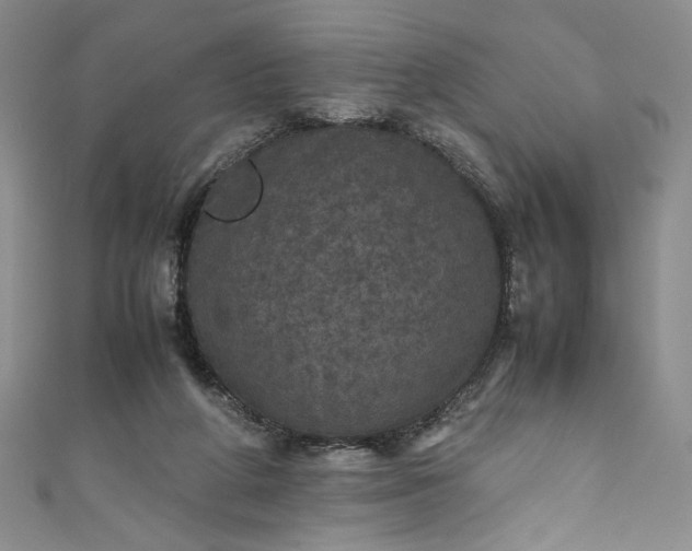 X0000111470210200907271319